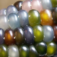 Glass gem corn