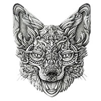 Alex Konahin - Intricate ink illustrations